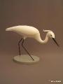 0V_132_ Aigrette
